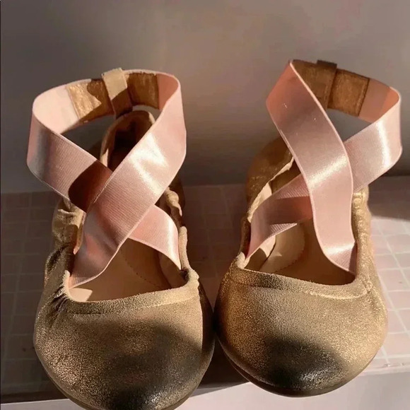 Taryn Rose Powder Metallic Ballet Flat - Picture 2 of 8